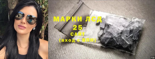 прущие грибы Аркадак