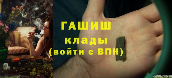 прущие грибы Аркадак