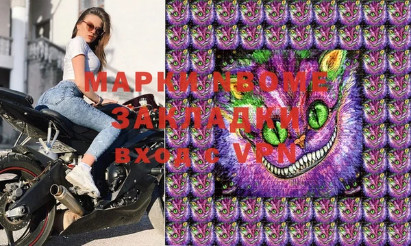 прущие грибы Аркадак