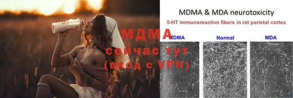 прущие грибы Аркадак