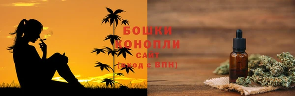 прущие грибы Аркадак