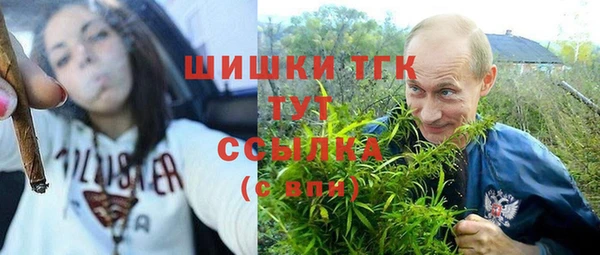 прущие грибы Аркадак