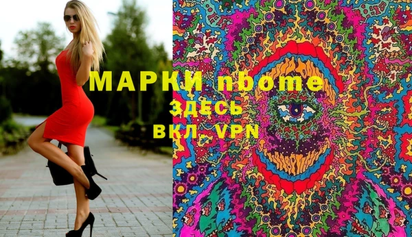 прущие грибы Аркадак