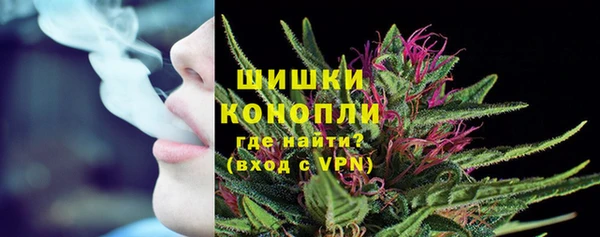 прущие грибы Аркадак