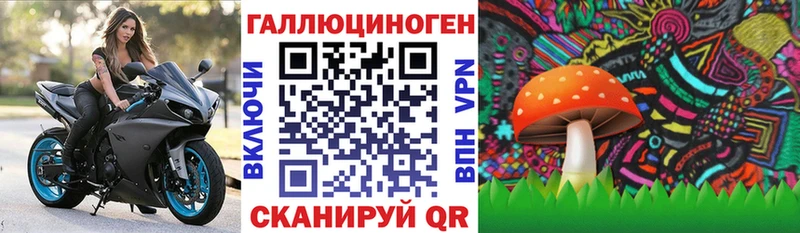 сколько стоит  Саров  Псилоцибиновые грибы мицелий 